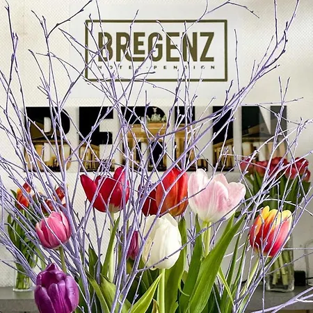 Hotel Bregenz-2